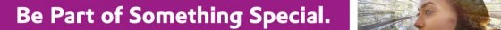post header logo