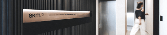 post header logo